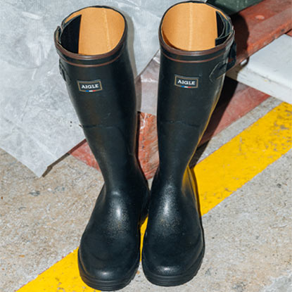 Aigle