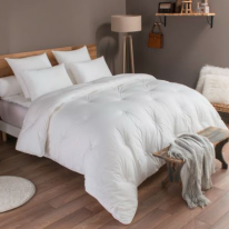 Offre Exceptionnelle