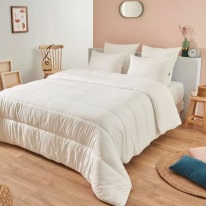 Offre Exceptionnelle