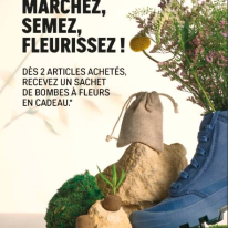 Offre Printemps