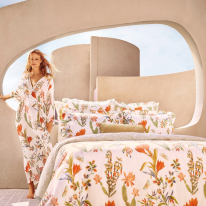 Offre spéciale