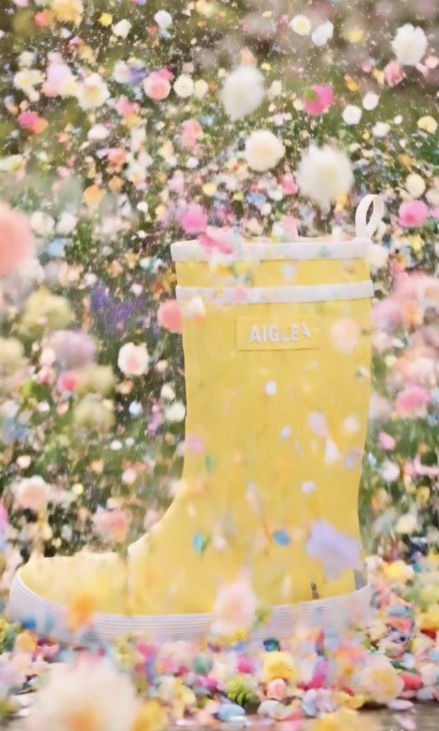 JOURS REMARQUABLES - AIGLE