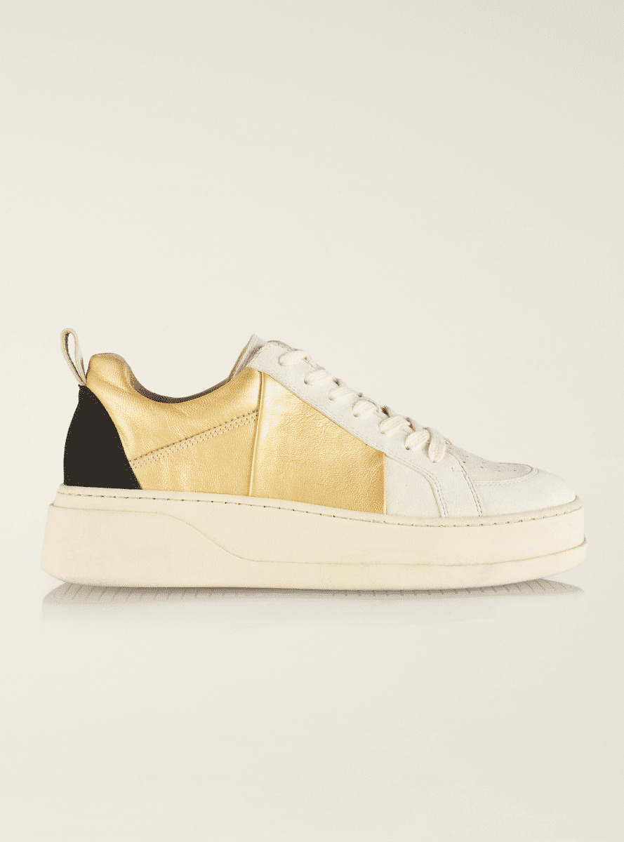 Tennis basse dore multico