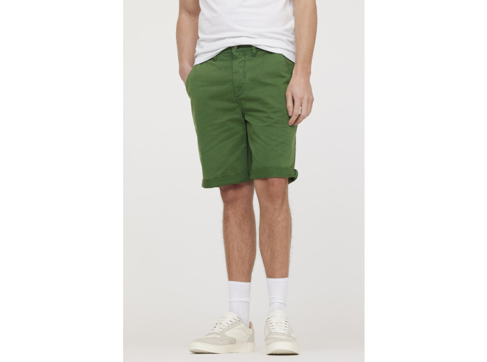 Short NASHO Cactus