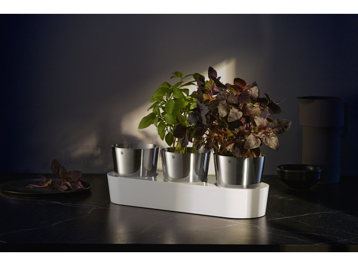 Jardin aromatique Gourmet lot de 3 pièces