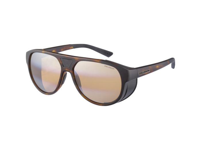 Nanga Photo  Tortoise Aw Brown