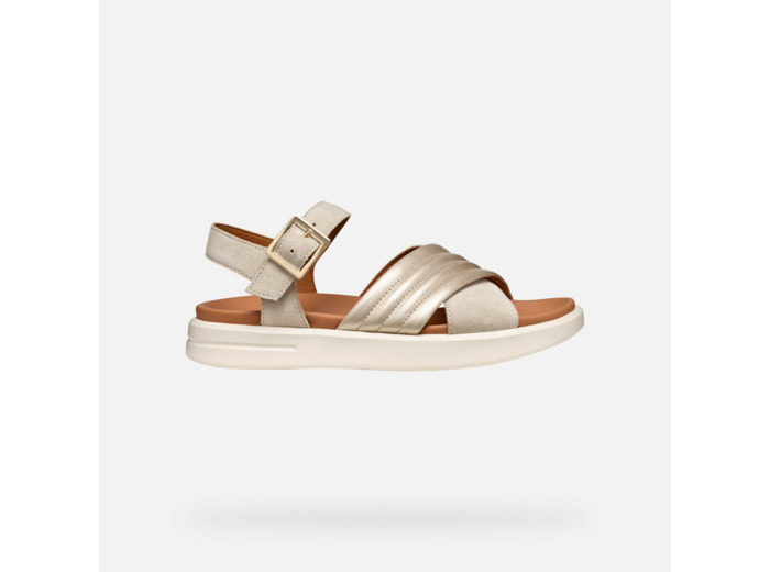 D XAND 2S