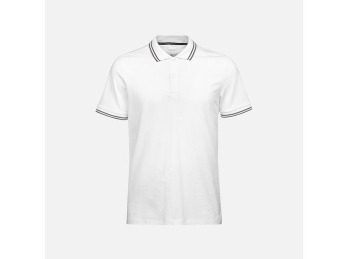 M POLO
