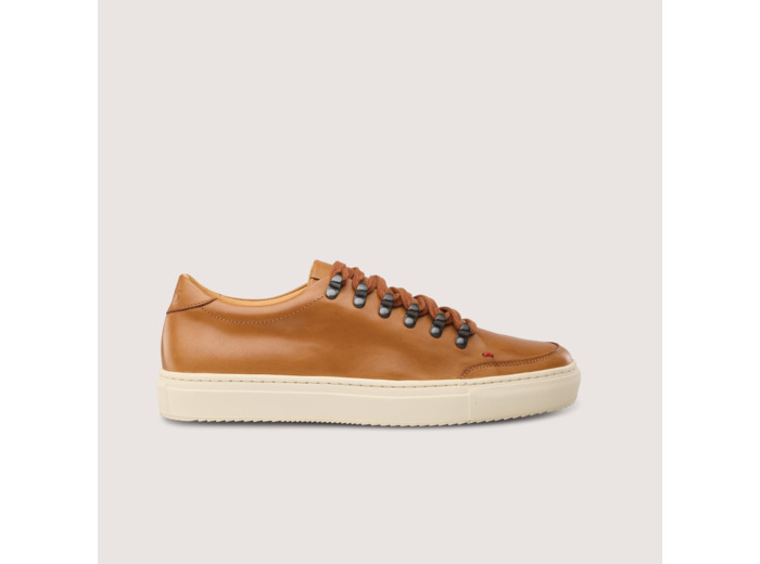 Sneakers Homme Roger Gold