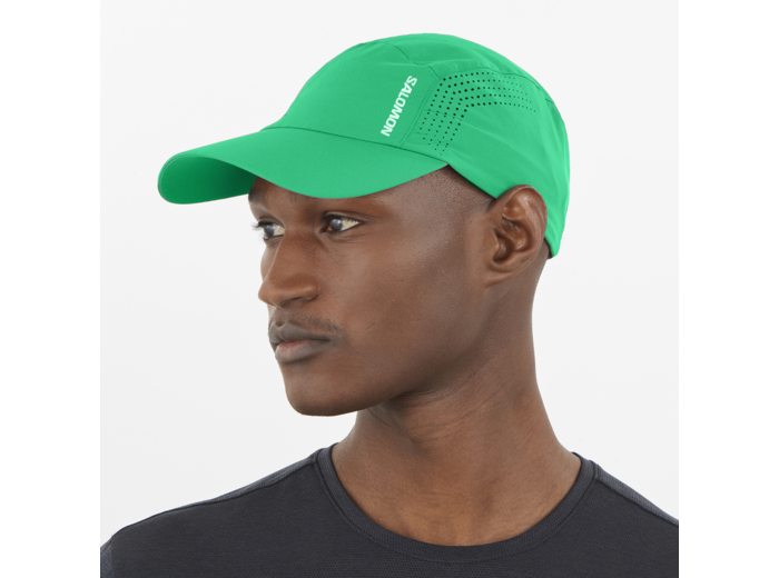 Casquette Shkout Parakeet