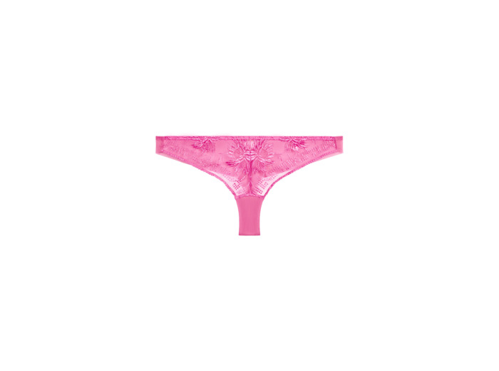 Tanga Rules of Attraction