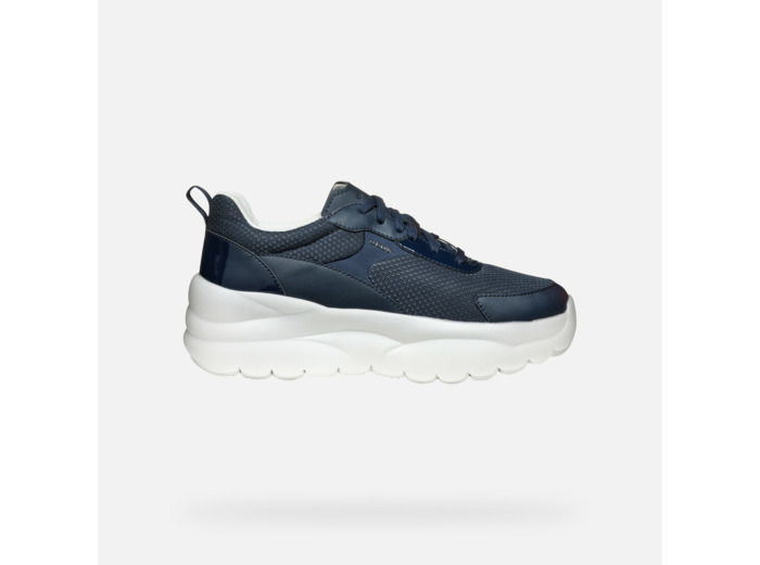 D XTORS