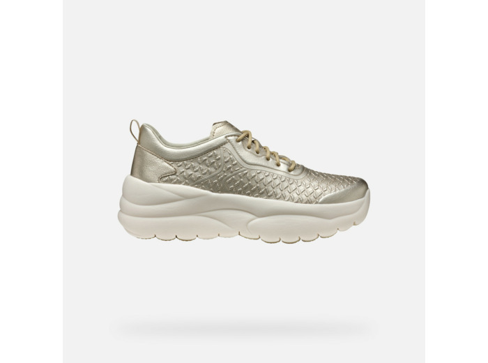 D XTORS