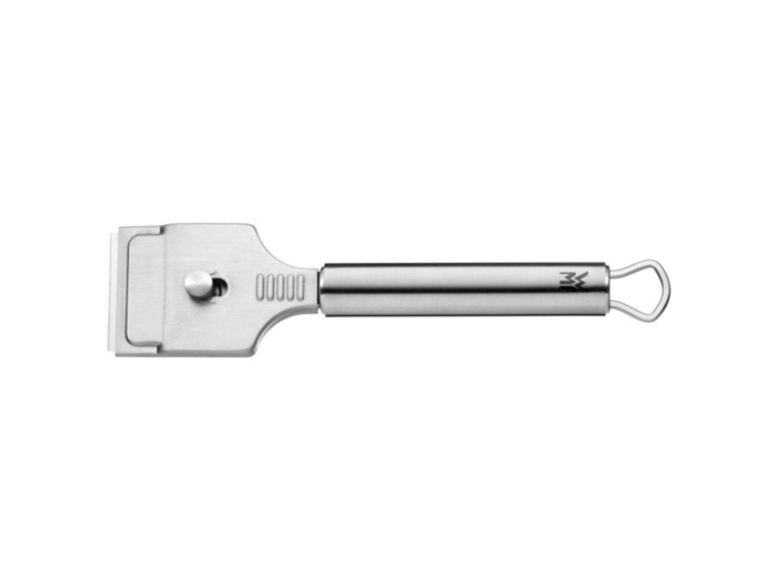 Grattoir pour plaque de cuisson PROFI PLUS SSS