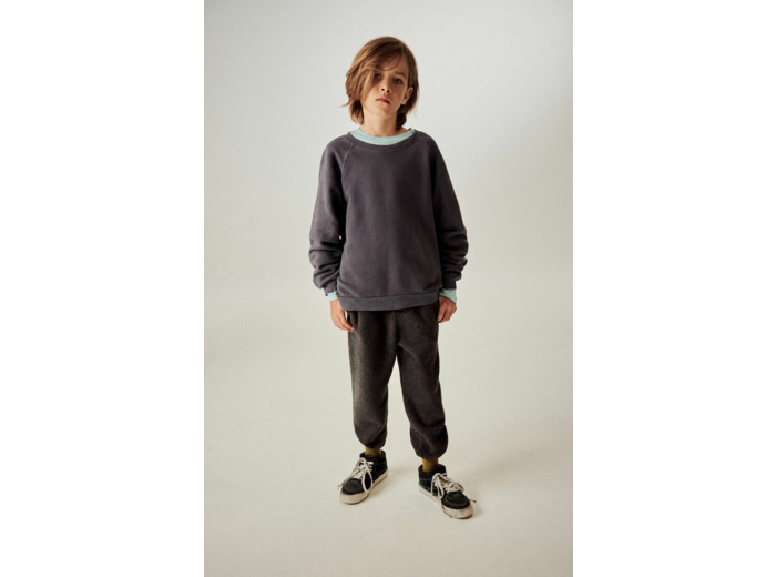 Sweat enfant Izubird