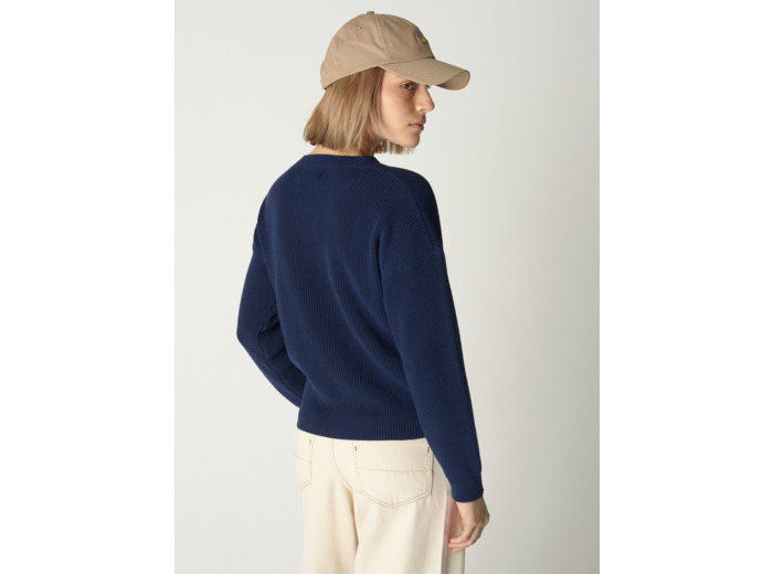 Pull daisy nocturne