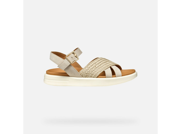D XAND 2S