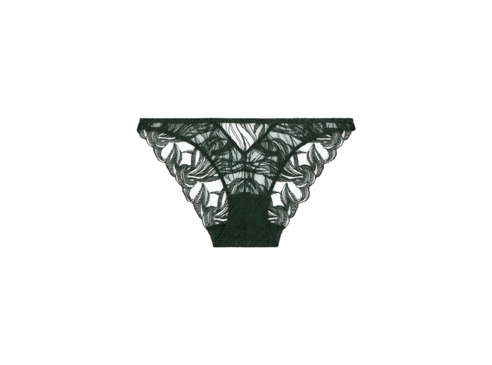 Culotte Italienne Into The Groove