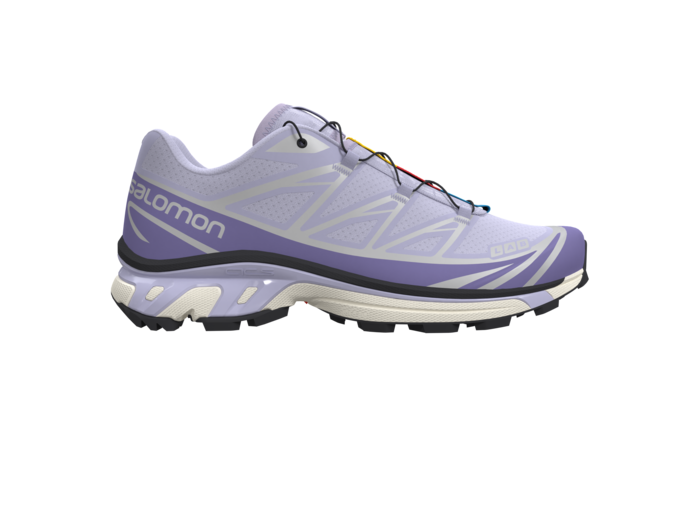 Xt-6 Purple Heather Aster Purple Ftw Sil