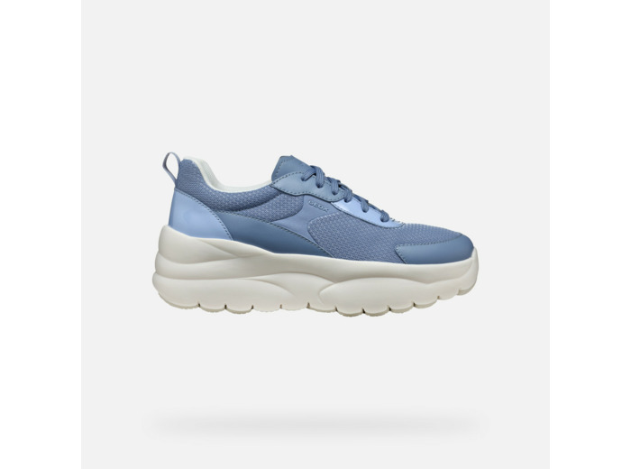 D XTORS