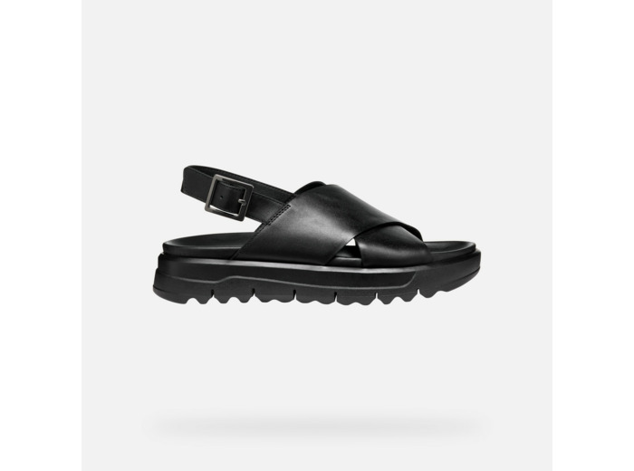 D XAND 2.1S
