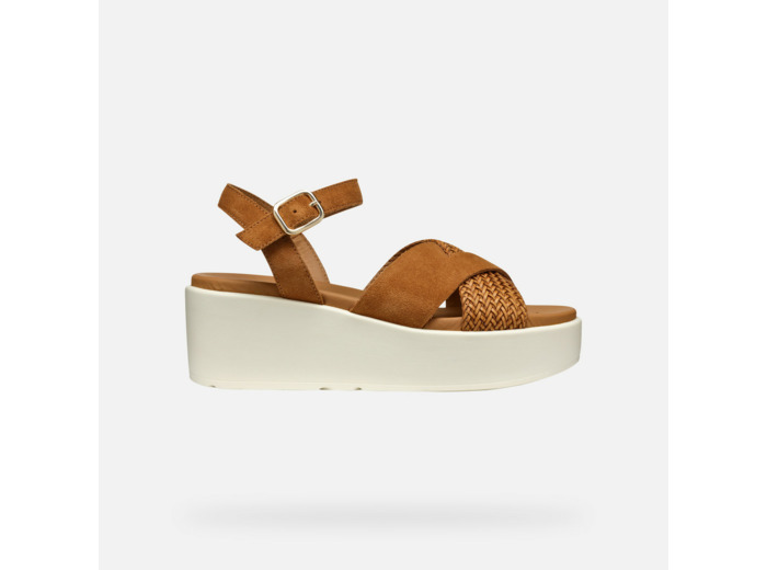 D XAND 2.2S