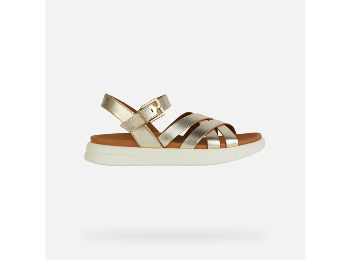 D XAND 2S