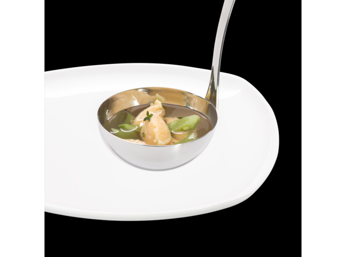 Louche à soupe Profi Plus