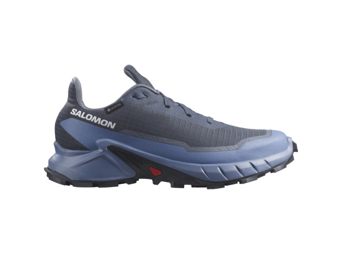 Alphacross 5 Gtx Bering Sea Blue Bonnet India Ink