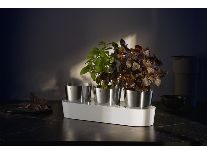 Jardin aromatique Gourmet lot de 3 pièces