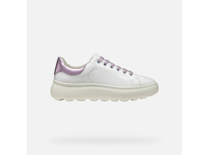 D SPHERICA EC4.1