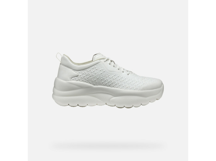 D XTORS