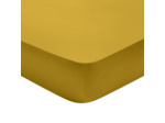 Drap housse Partition Satin de coton Coloris Curry