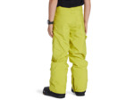 Pantalon Snow DC Vert.