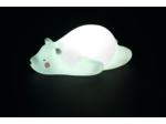 Veilleuse ourson Blanc