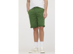 Short NASHO Cactus