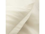 TAIE D'OREILLER | Eclat - Sable