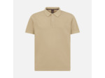 M POLO