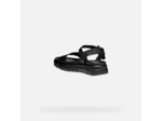 D XAND 2.1S