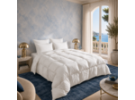 Couette Naturelle 40% duvet de canard - Tempérée