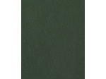 Pantalon Element Deep Forest