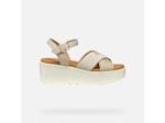 D XAND 2.2S