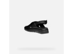 D XAND 2.1S