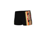 Short de bain arena Performance Palette pour garçons