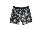 Boardshort Quiksilver BLACK
