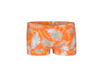 Short de bain arena Allover Beach pour hommes