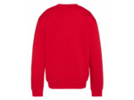 Sweat imprimé poitrine SW1913 SCHOTT