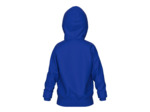 Sweat à capuche junior arena Team Panel