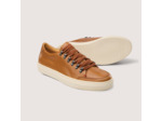 Sneakers Homme Roger Gold