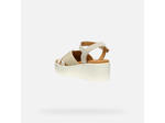 D XAND 2.2S